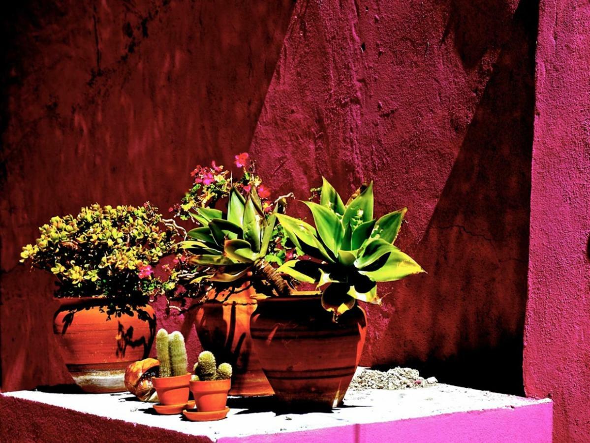 Sao Miguel House , Casa Do Carvalhal Konuk evi Santarém Dış mekan fotoğraf