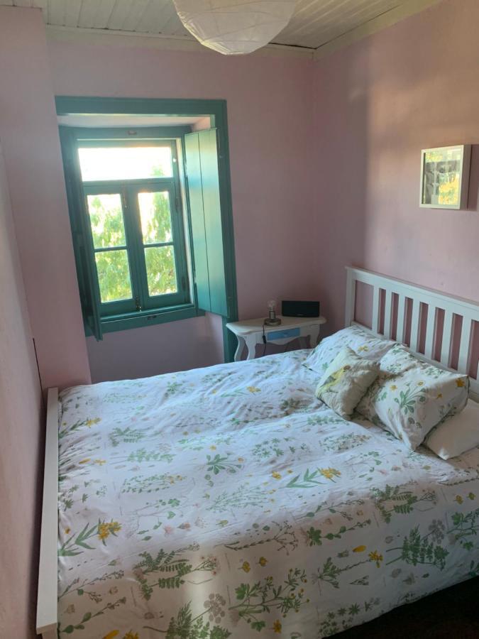 Sao Miguel House , Casa Do Carvalhal Konuk evi Santarém Dış mekan fotoğraf